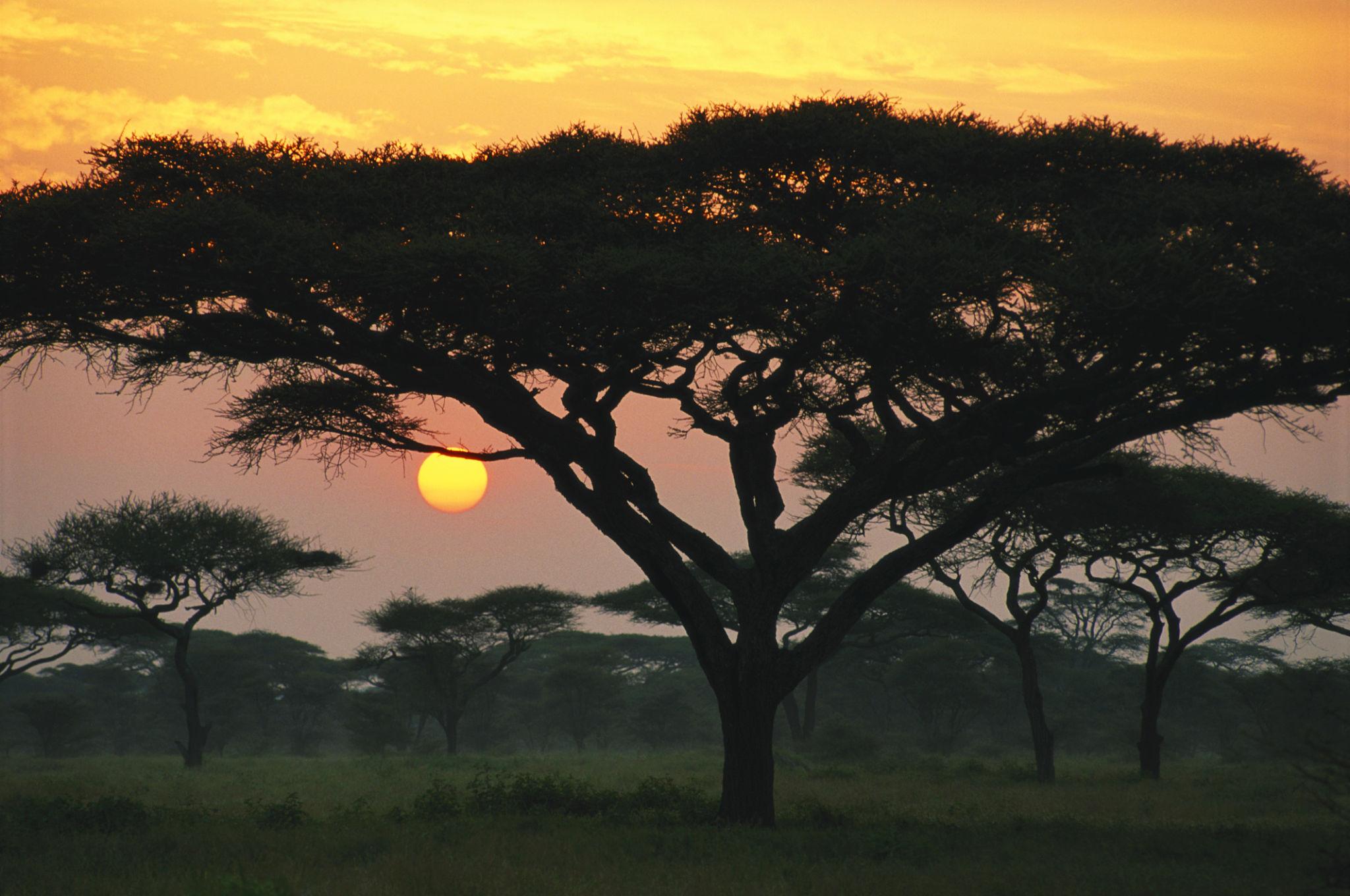 SERONERA PUBLIC CAMPSITE